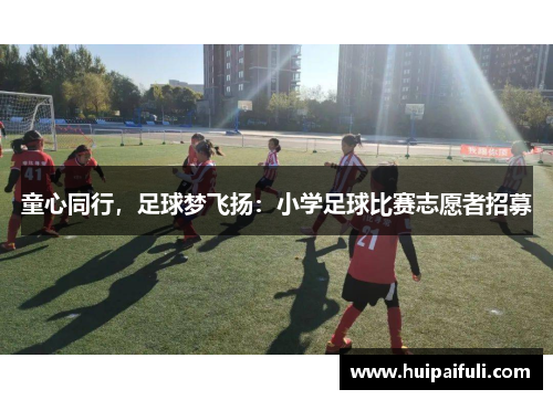 童心同行，足球梦飞扬：小学足球比赛志愿者招募