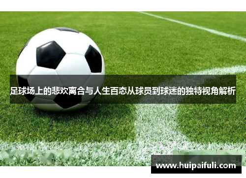 足球场上的悲欢离合与人生百态从球员到球迷的独特视角解析